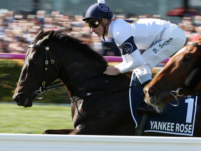 Crown Oaks day, 3rd November, Flemington race track, Melbourne Australia.    Race 8 Crown Oaks over 2500 metres.  no 1 Yankee Rose ridden by Blake Shinn try's to get across heading into the first bend. Picture : George Salpigtidis