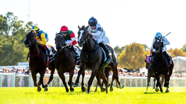 Overpass clears away to defend his The Quokka crown in 2024 Picture: Western Racepix