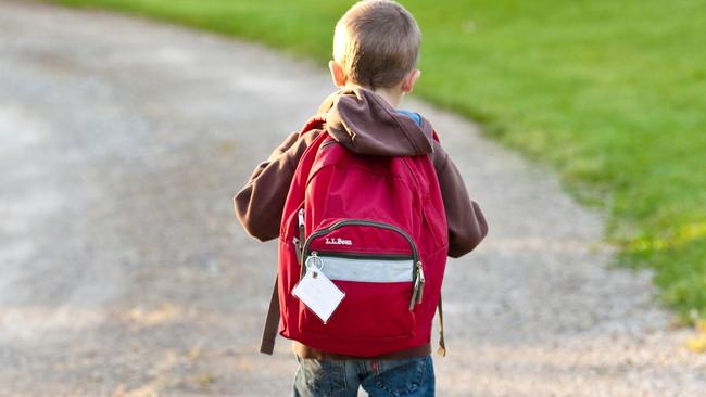 SAPOL has investigated two separate reports of children being approached by strangers as they walked home from school.