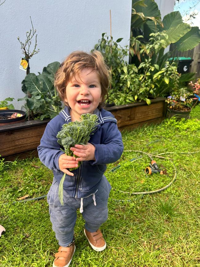 Two-year-old Joe Massa, who died after a routine visit to Northern Beaches Hospital Picture: Supplied