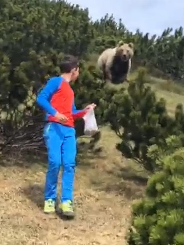 Giant Bear Plays with Human Carer (Storyful, Cute) 