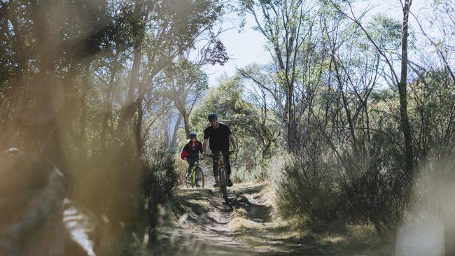 On the Thredbo Valley Track in Kosciuszko National Park.