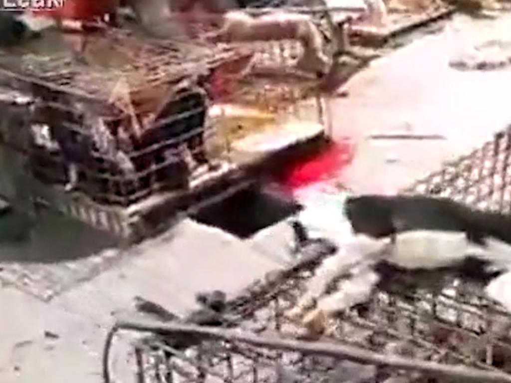 Video shows animals kept alive in cages. Many wetmarkets were closed after the SARS outbreak but have gradually reopened. Picture: Supplied.