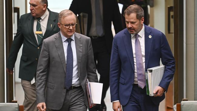 Prime Minister Anthony Albanese and Industry and Science Minister Ed Husic.