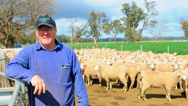 Quality choice: Damian O’Keefe is the lamb producer now supplying Jillamatong lamb to the IGA supermarket in Corowa NSW. Picture: Fiona Myers