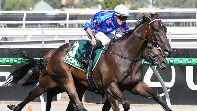 Feroce (NZ) ridden by Billy Egan wins the Howden Australian Guineas at Flemington Racecourse on March 01, 2025 in Flemington, Australia. (Photo by Brett Holburt/Racing Photos via Getty Images)