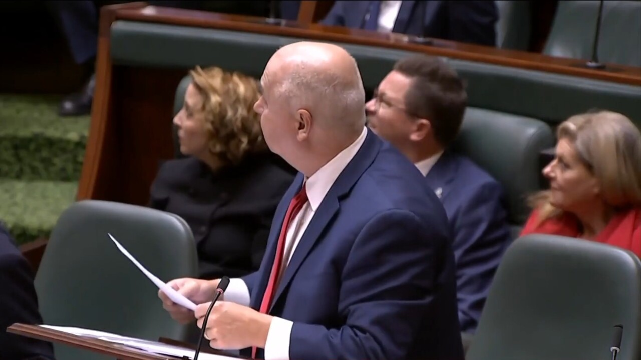 Protester in the public gallery interrupts Tim Pallas during budget speech