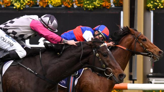 Local hopes Surprise Baby and Steel Prince have been allocated 52.5kg for the Melbourne Cup. Picture: Getty Images