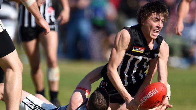 North Haven's Mark Rowe kicked six goals for the Magpies on Saturday. Picture: Tom Huntley