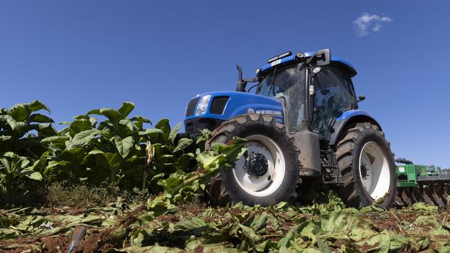 The seizure had an estimated potential excise of more than $28 million. Picture: NSW Police