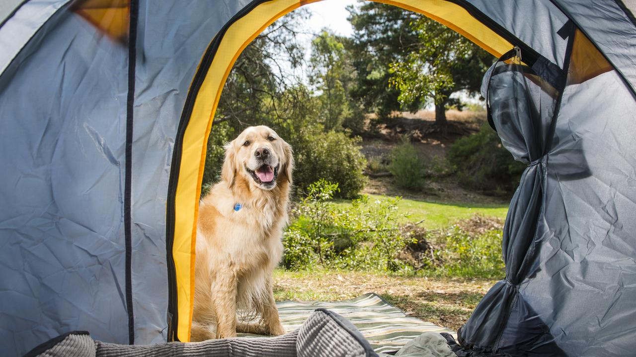 Best dog-friendly camp sites in ACT, NSW, NT, Vic, Tas, Qld, SA, WA ...