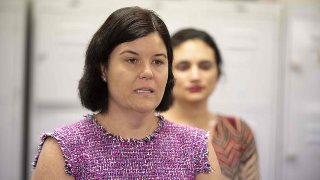 Health Minister Natasha Fyles said the change would impact half a dozen women a year. Picture Julianne Osborne