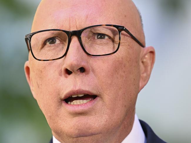 CANBERRA, AUSTRALIA - NewsWire Photos - November 19, 2024: Leader of the Opposition Peter Dutton holds a press conference at Parliament House in Canberra. Picture: NewsWire / Martin Ollman