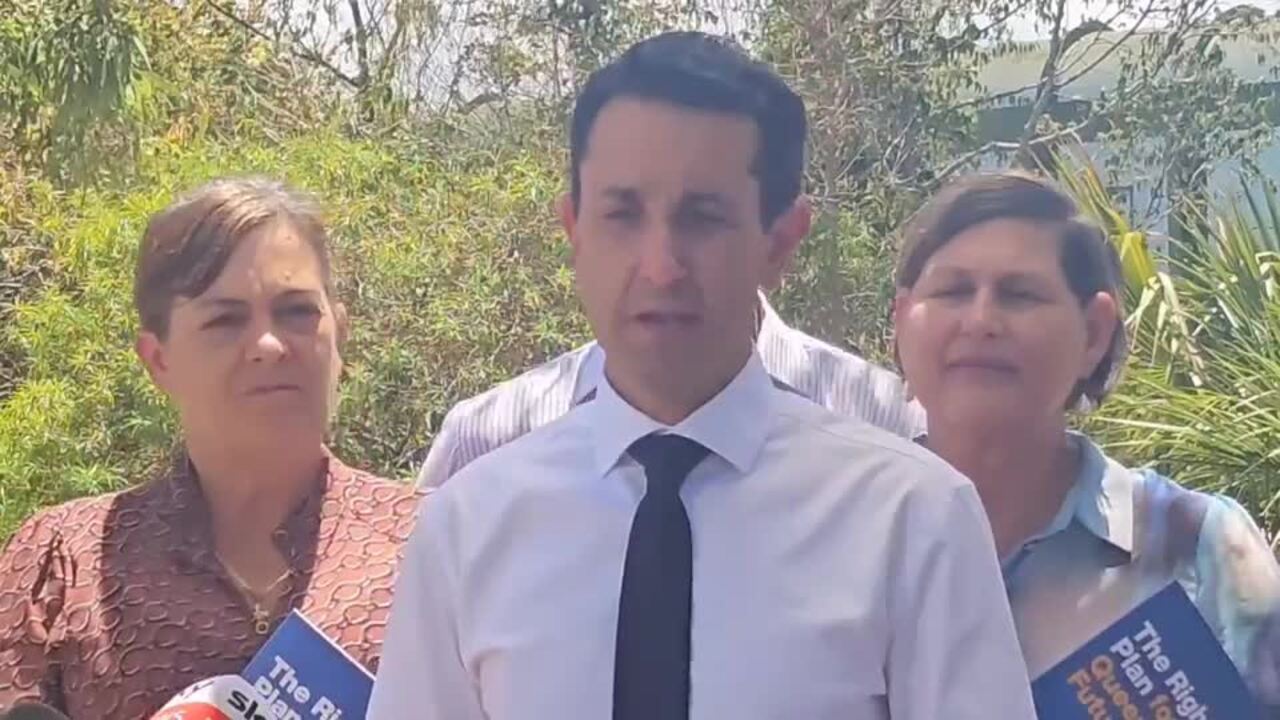 David Crisafulli addresses his lack of support in Ingham