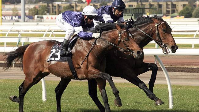 Last year's winning duo Brett Prebble and Green Moon will carry the No. 2 saddlecloth.