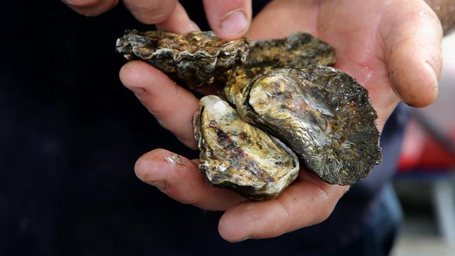 Clyde River oyster farmers the Ralston Bros of Batemans Bay farm for ...