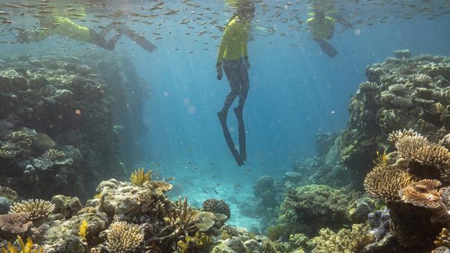 Master Reef Guides on the GBR. Photo: TTNQ