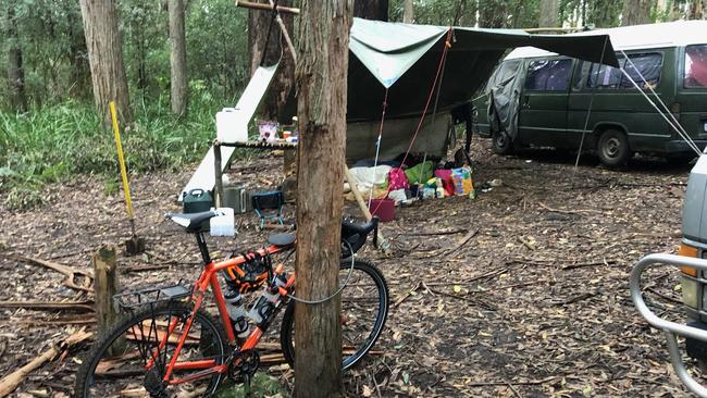 Protesters have angered loggers by protesting in state forest near Gembrook.