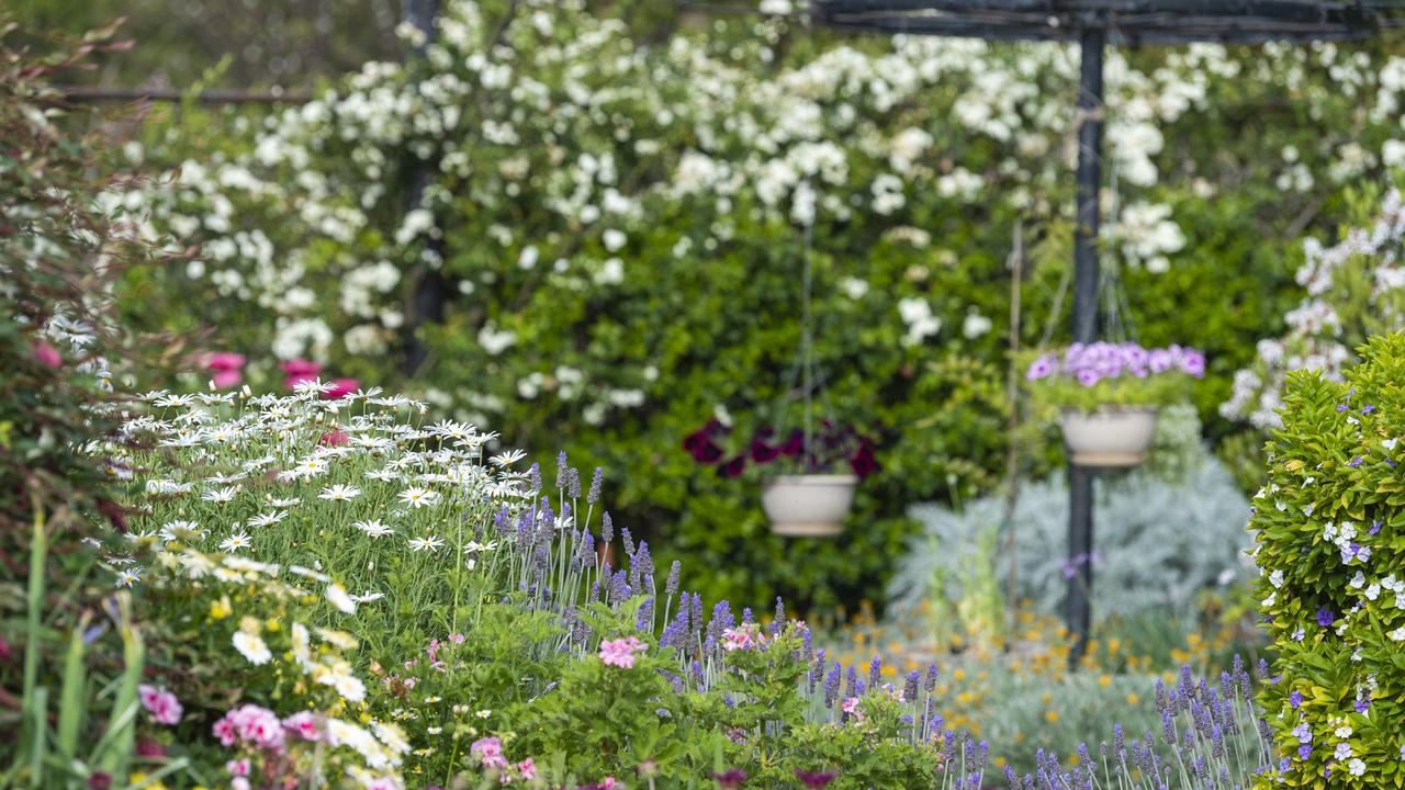 Paul and Noela Rubb, Schultz-Haden Rd, Haden, Garden for Good 2020, Carnival of Flowers 2020, Friday, September 25, 2020. Picture: Kevin Farmer