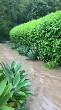 Gold Coaster's home and backyard flooded from March downpour