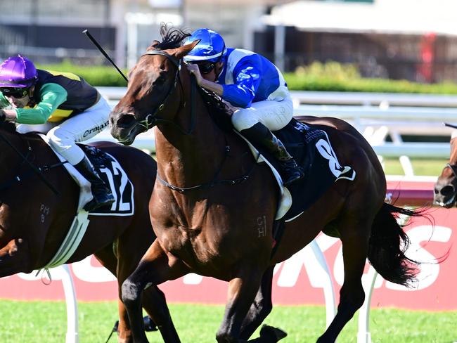 Hawaii Five Oh books his ticket into the Stradbroke Handicap by winning the Fred Best Classic under Nash Rawiller. Picture: Grant Peters - Trackside Photography