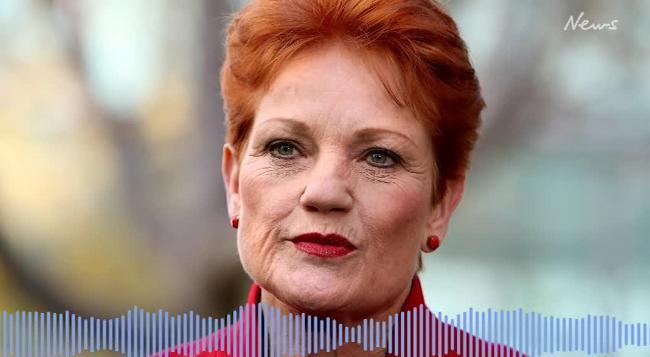 Pauline Hanson robocall