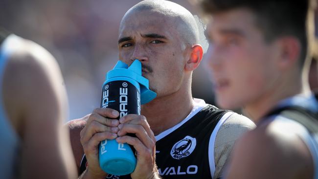 Sam Powell-Pepper during the Sturt v Port Adelaide SANFL match at Unley Oval. Picture: Matt Turner