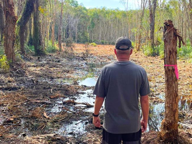 Land clearing on Straddie under investigation by council