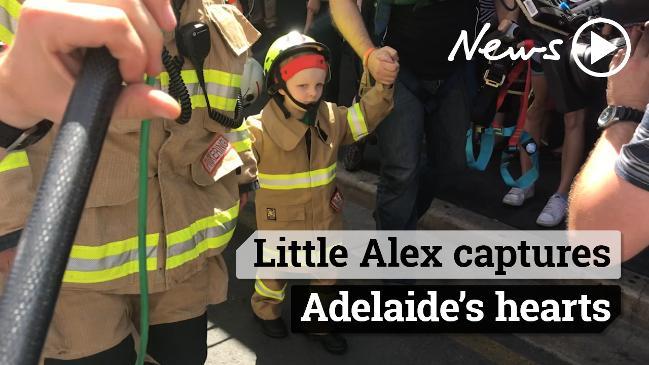 Little Alex captures Adelaide's hearts