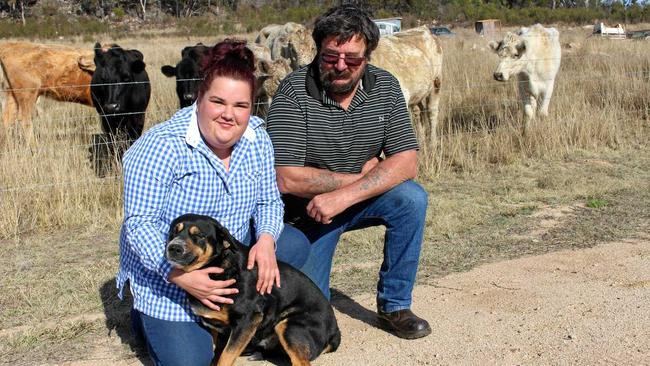 SAD REALITY: Annette Vanderwolf and her dad, Erne,  love their pet dog Dumbledore as much as they love their calves, which were destroyed by someone else's pet. Inset: The Vanderwolfs' two-day-old calf was attacked by domestic dogs. Picture: Liana Walker