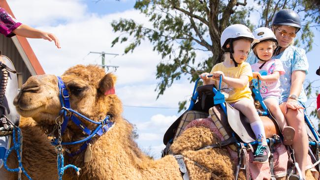 Summer Land Camels is popular with families. Photo: Facebook