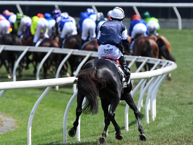 The Cliffsofmoher pulls up injured during the Melbourne Cup. Picture: Dan Himbrechts/AAP