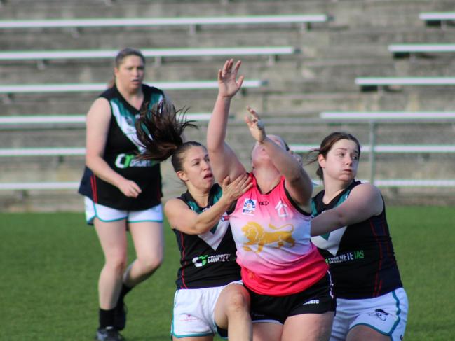 SFLW Community League: Hutchins v Cygnet. Picture: Jake Garland