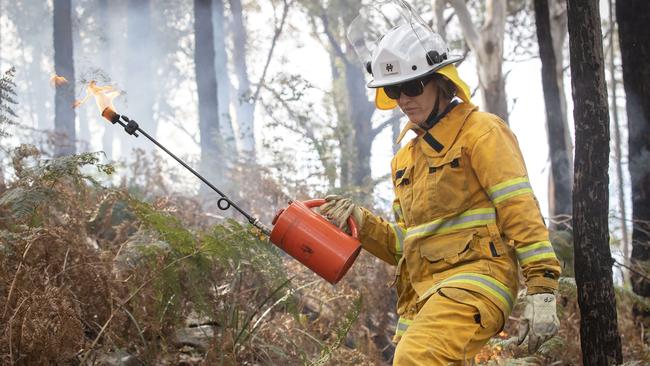 City of Hobart fire crews during bushfire training drills and fuel reduction burns at South Hobart. Picture: Chris Kidd