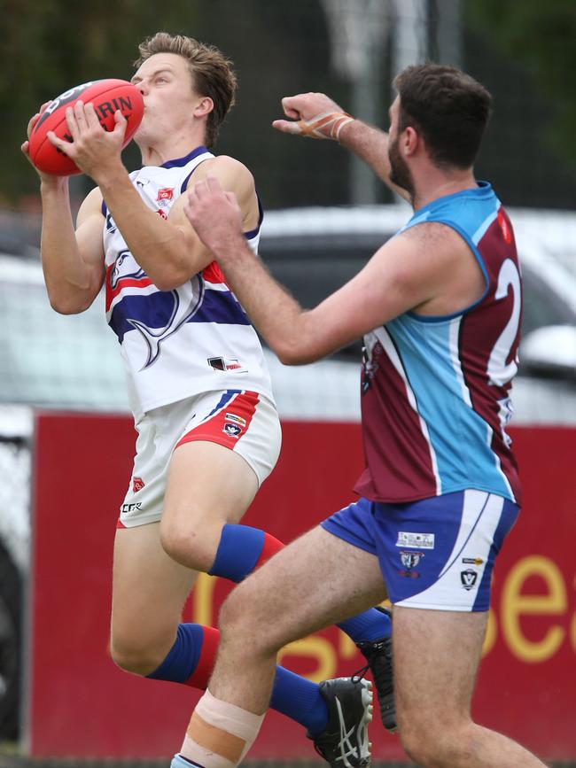 Football BFL: Modewarre v Queenscliff. Queenscliff 36 Riley Martin takes a leap for the ball over Modewarre 23 Zack May Picture: Mark Wilson
