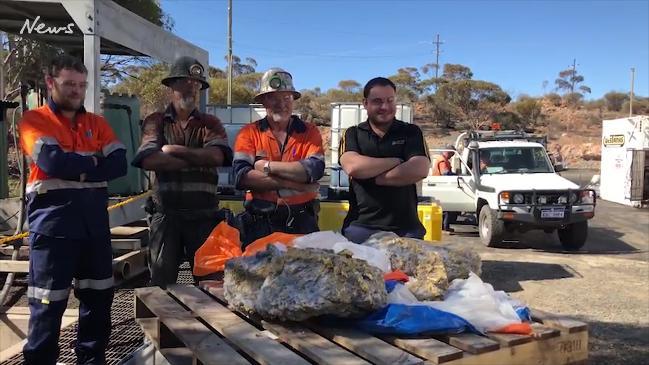 Largest gold specimens in history found in WA