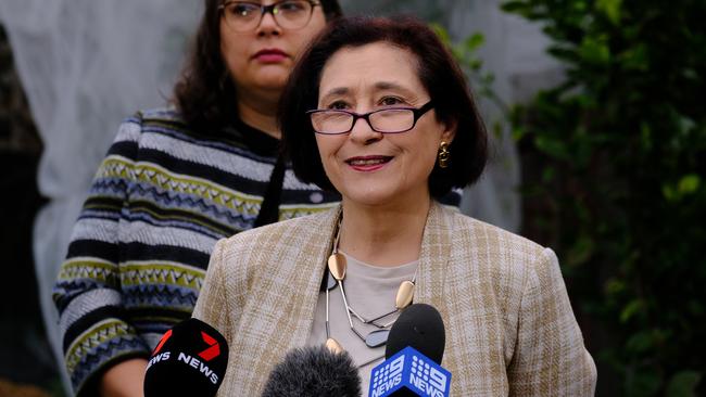 Victorian Energy Minister Lily D'Ambrosio at a press conference in Melbourne. Picture: Luis Enrique Ascu/NCA NewsWire