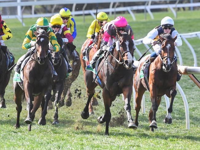 The field rounds the home turn during the running of the Evergreen Turf Neville Wilson Series Final at Warrnambool Racecourse on May 02, 2024 in Warrnambool, Australia. (Photo by Pat Scala/Racing Photos via Getty Images)