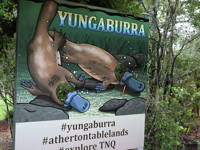 The Yungaburra platypus viewing platform at Peterson Creek. Picture: PETER CARRUTHERS