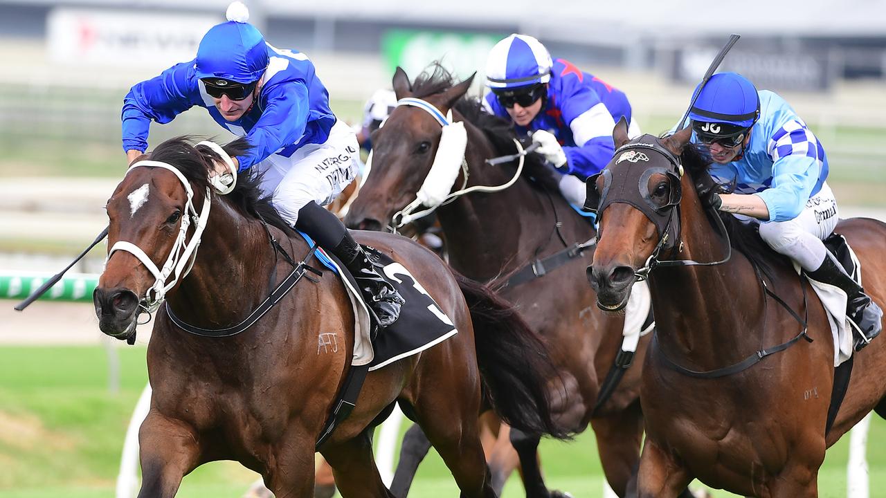 Dittman wins on So You Win (left) in the Winx colours for owners including Peter Tighe and Noel Greenhalgh at Doomben on October 31.