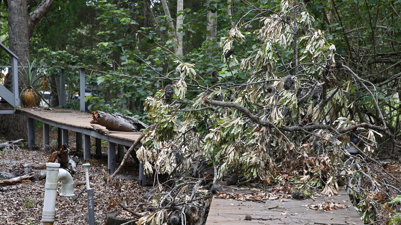 A fallen tree blocks a walkway. Picture: Tertius Pickard