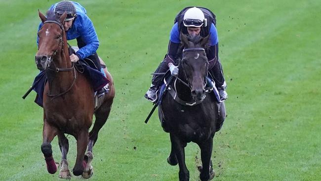 Sir Dragonet (right) with jockey James Winks aboard works alongside Cox Plate rival Aspetar in a gallop at The Valley last Saturday. Photo: Scott Barbour/Racing Photos via Getty Images.