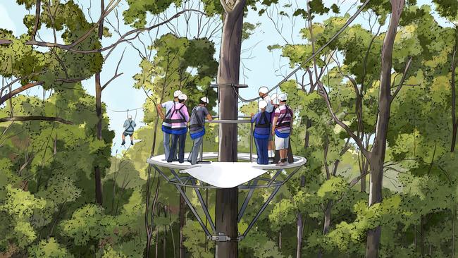 Mount Coot-tha zipline artist’s impression: Treetop canopy tour.