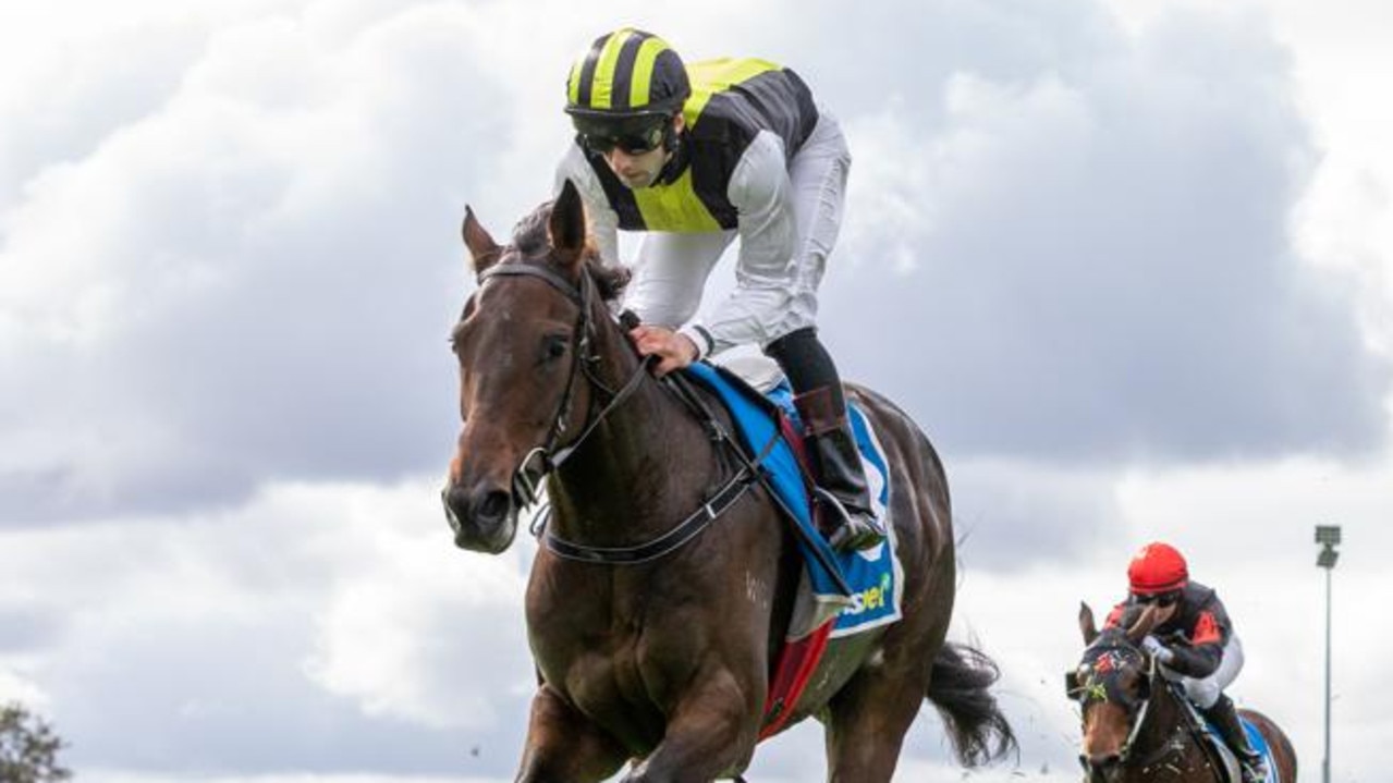 South Australian stayer Party Crasher is among the leading chances in the Group 1 Queensland Derby on Saturday. Picture: Makoto Kaneko