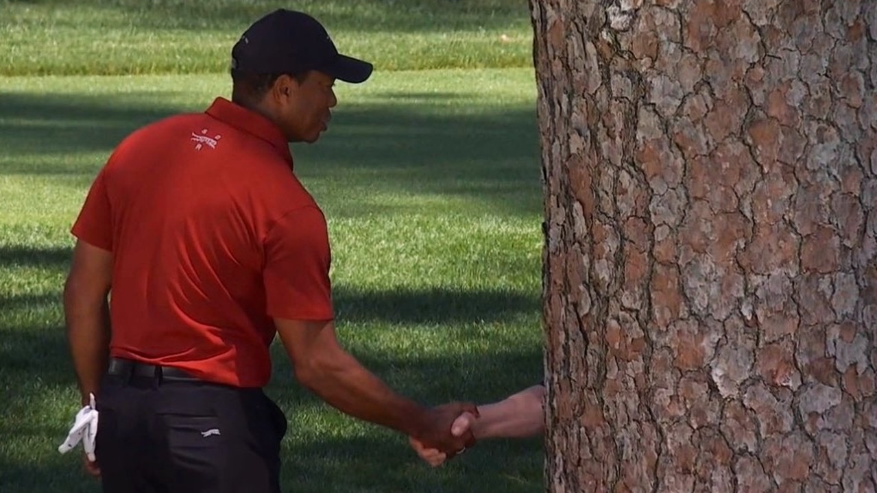 Tiger meet Woods.