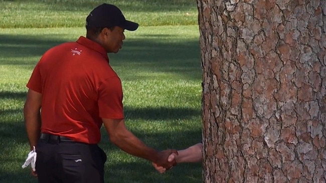 Tiger meet Woods.