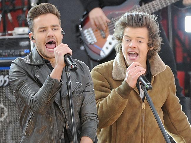 NEW YORK, NY - NOVEMBER 26:  Liam Payne and Harry Styles of One Direction perform at Rumsey Playfield on November 26, 2013 in New York City.  (Photo by Jamie McCarthy/Getty Images)