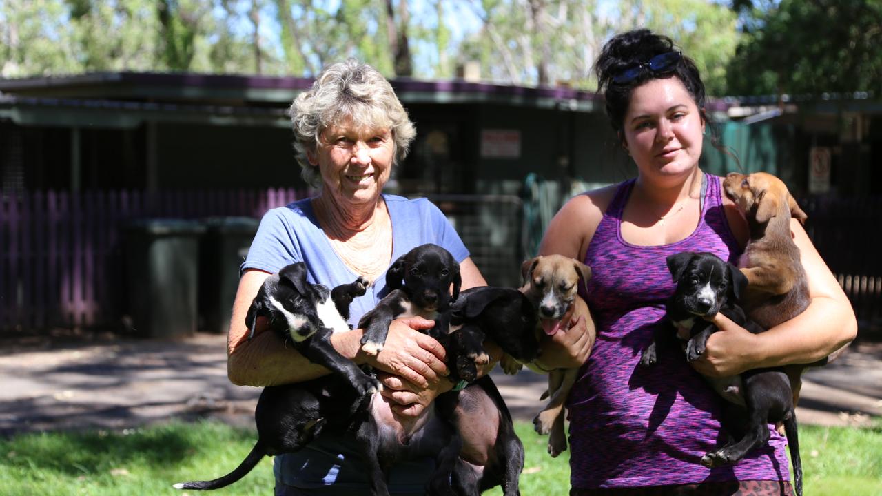 Mareeba Animal Refuge: The Mareeba Animal Refuge set to close their ...