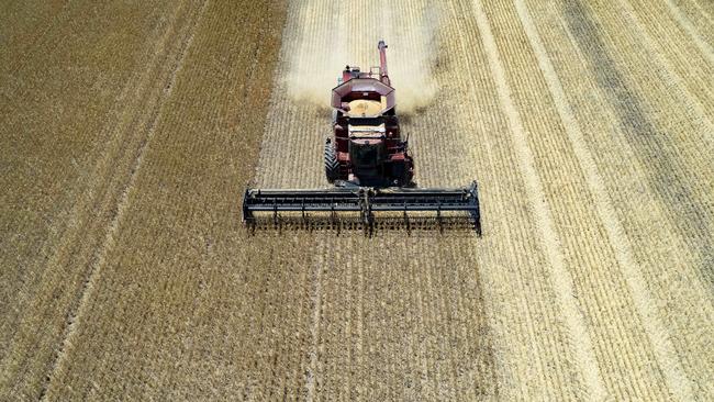 We hardly hear the news that agriculture here – highly efficient and innovative by world standards – has just experienced two prolific harvests. Picture: Zoe Phillips