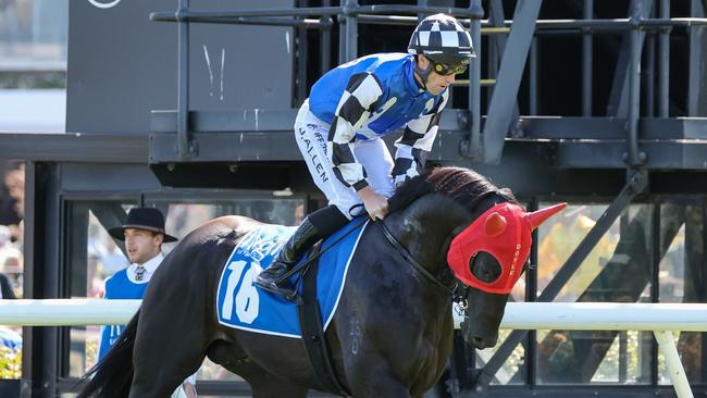 Midnight Opal on the way to the barriers prior to the running of  the Inglis Sprint at Flemington Racecourse on March 02, 2024 in Flemington, Australia. (Photo by George Sal/Racing Photos via Getty Images)